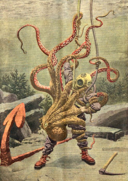 octopus attack octopus attack